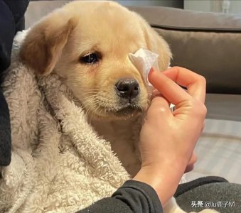 ​鹿晗这次直播用底气证明颜值质疑！