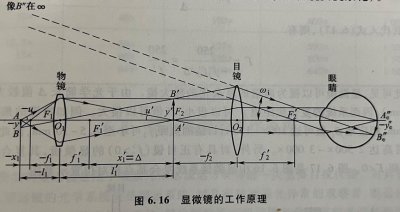 ​为什么在显微镜当中目镜越短倍数越大，物镜越长放大倍数越大？