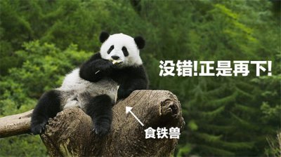 ​网上流传的“熊猫是蚩尤坐骑”的说法，是真的吗？