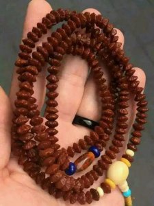 ​“金叶莲花菩提”，有人叫它钱串子，是一种颜值颇高的冷门文玩