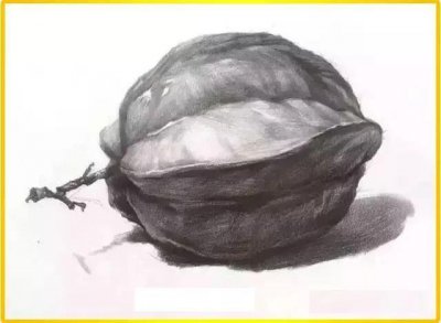 ​史上最全高清素描静物单体临摹范本，都是联考经常出现的静物哦