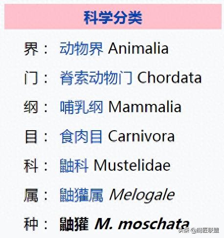 长相如此可爱，行为如此可爱的鼬獾竟是狂犬病毒天然宿主