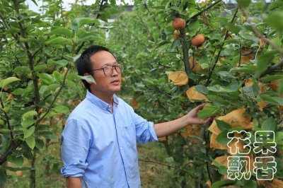 ​你猜猜看，假如翠冠梨有新品种保护，现在会卖多少钱一斤？