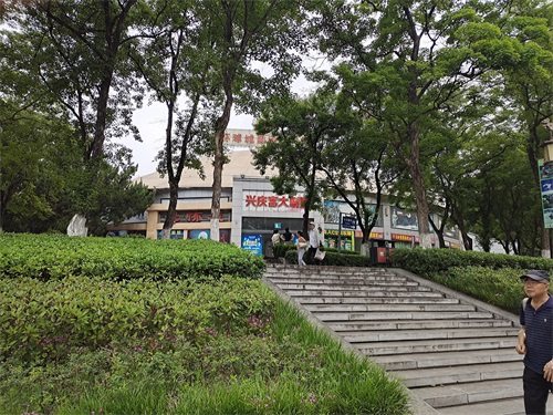 西安兴庆公园简介