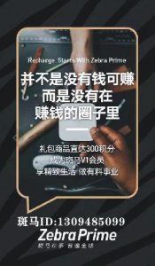 ​加入斑马会员，每个月将要发工资啦