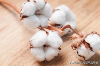​吊牌上的纯棉、全棉、100%棉、95%棉5%氨纶，你真的懂吗