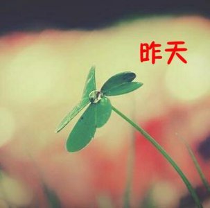 ​人的一生有多少天？你是怎么理解的？