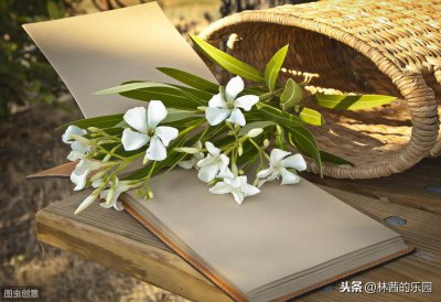 ​12首描述岁月静好的经典诗词，你读过几首？