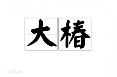 ​古有大椿者