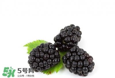 ​山莓跟黑莓一样吗？黑莓贵还是山莓贵？