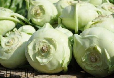 ​大头菜是发物吗？大头菜是卷心菜吗