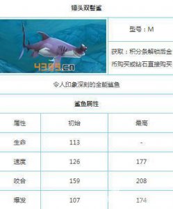 ​饥饿鲨世界鲨鱼图鉴大全 全能鲨鱼锤头双髻鲨