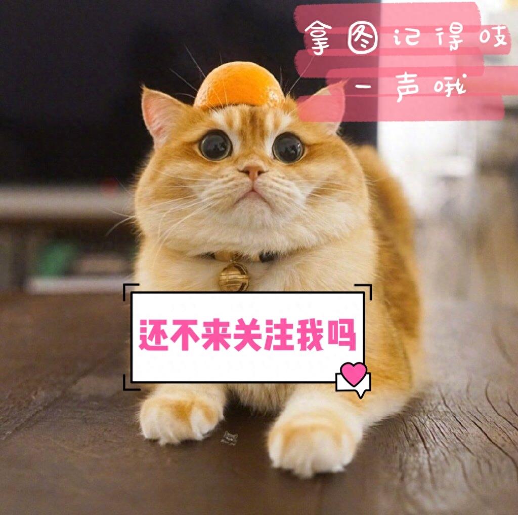 壁纸|你以为的岁月静好，只不过是有人为你负重前行