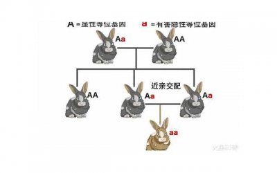 ​做完为什么还要顶几下 夫妻生活为什么要顶好多下