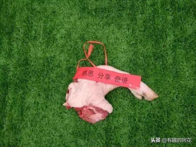 ​学校奖励学生大猪蹄子 网友：只要大鲤鱼？