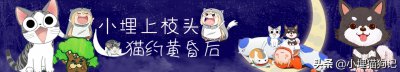 ​猫咬你，5种迹象表明它是喜欢你，还是恨你