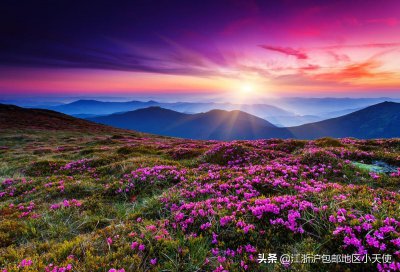 ​6本相亲文推荐：从不爱到爱有多远？