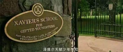 ​杀手一班｜杀手居然也有“蓝翔”技校