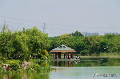 ​北湖公园-十年封闭后终获涅槃重生，成都市民亲近自然好去处