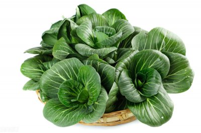 ​快菜到底是什么菜？是小白菜吗？菜农：差别很大，别挑错了