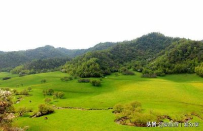 ​宝鸡风光：关山牧场