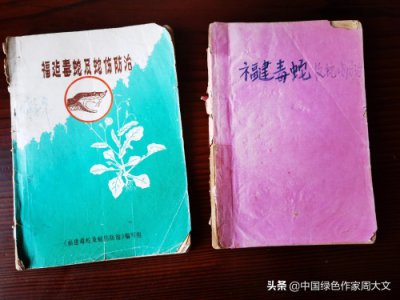 ​从前认为是泥蛇，看书才知是高贵的中国水蛇