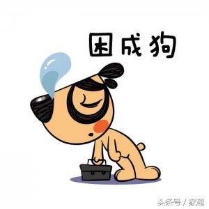 ​萌宠告诉你，什么叫做困成狗，这些动物困的样子简直把人萌翻！