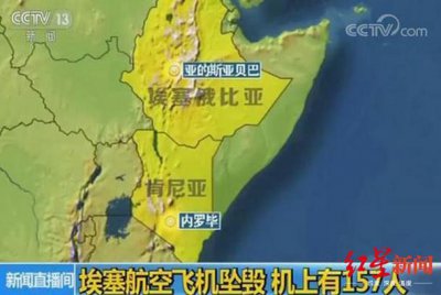 ​埃航公布157名遇难者国籍 4人持有联合国护照