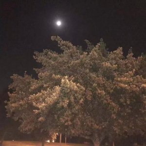 ​《游学在路上》接机篇-洛杉矶凌晨3点的样子