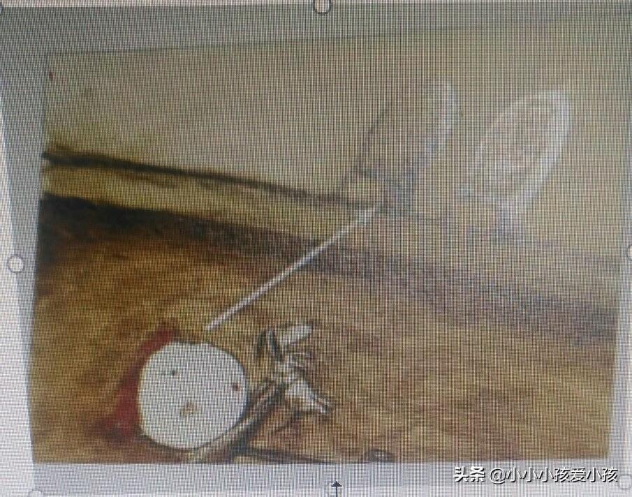 绘本是什么