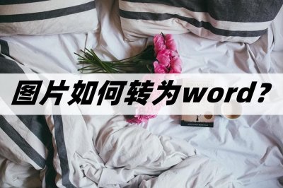 ​图片如何转为word？三个实用的转换方法安利
