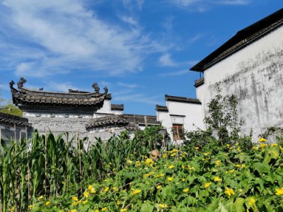​西溪南