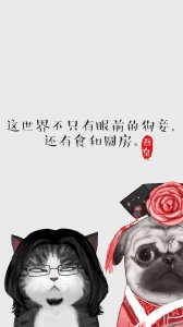 ​吾皇喵大人系列 个性语录 手机壁纸图片