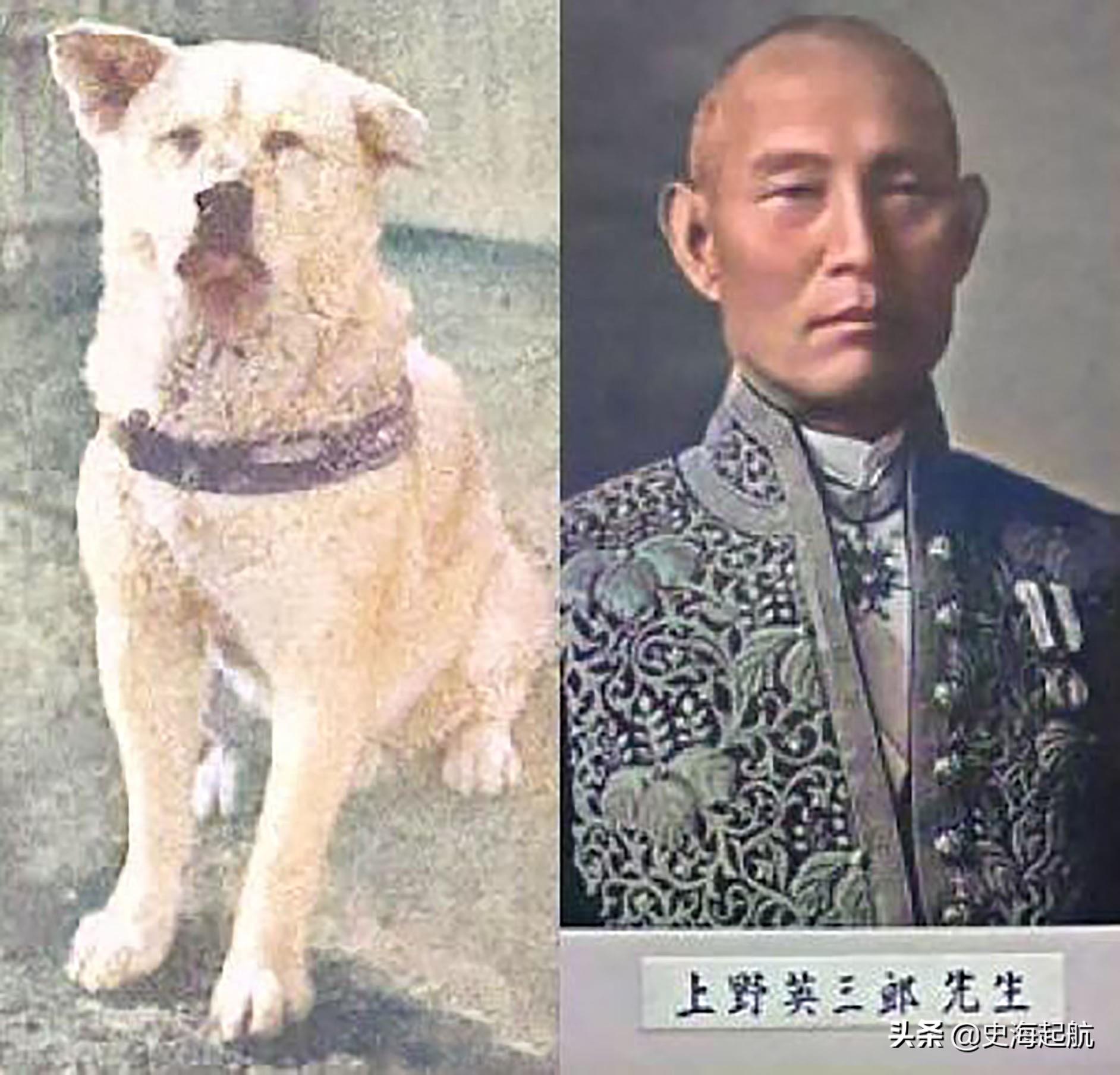 忠犬八公真实照片，主人已不在人世，但它每天仍然坐那盼主人回来