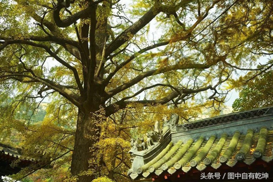 探访崂山太清宫，曾是全真派驻地，一代宗师张三丰终年在此修炼