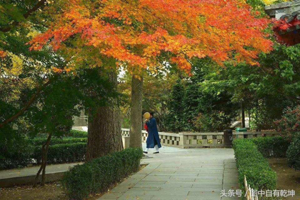 探访崂山太清宫，曾是全真派驻地，一代宗师张三丰终年在此修炼