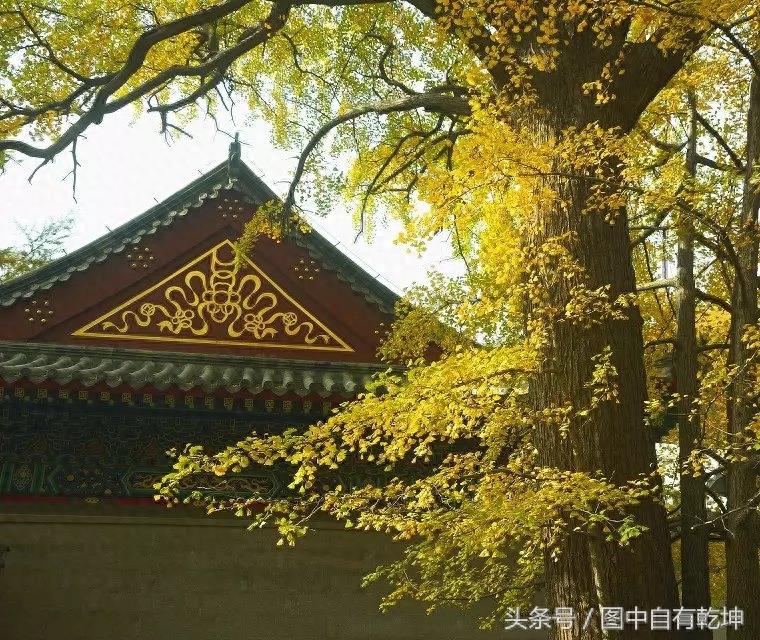 探访崂山太清宫，曾是全真派驻地，一代宗师张三丰终年在此修炼