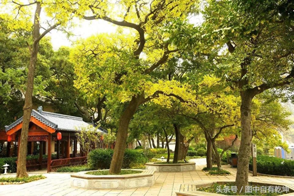 探访崂山太清宫，曾是全真派驻地，一代宗师张三丰终年在此修炼