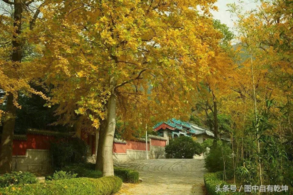 探访崂山太清宫，曾是全真派驻地，一代宗师张三丰终年在此修炼