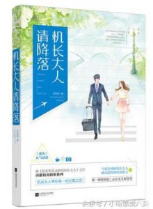 ​精英职业题材爱情小说，机长大人带你来一场云霄之恋