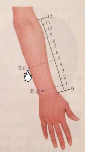 ​每日一穴——支正穴