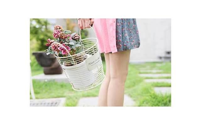 章子怡撒贝宁结婚照（章子怡与撒贝宁的合照）