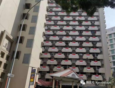 ​新加坡挂国旗非常有讲究，这些事不能做……
