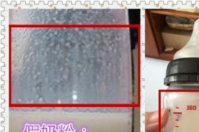 ​珍护奶粉怎么查真伪