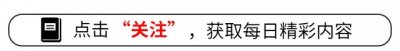 ​KTV里找女孩子陪酒，会不会被抓？揭秘背后的法律风险！