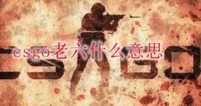 ​老六是什么网络梗 王者荣耀老六这个梗出自哪里