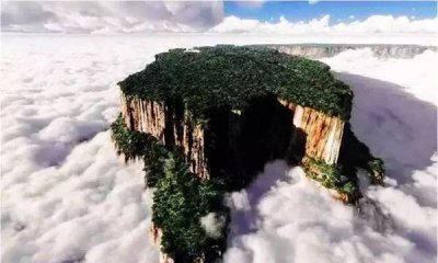 ​罗赖马山在哪里（罗赖马山山顶到底有多么的神奇）