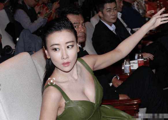 中国哪位女明星胸最大（娱乐圈胸气逼人的五大女星）