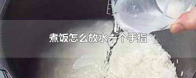 ​电饭煲煮饭放开水可以吗 电饭煲怎样放水视频