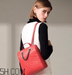 ​elle包包是奢侈品吗？elle和coach哪个好？